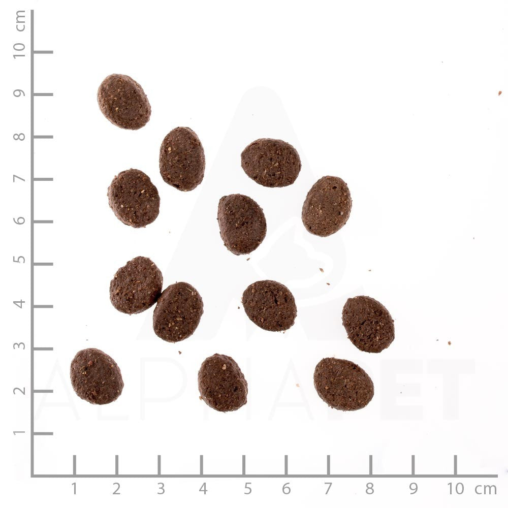 Wildes Land Adult Kaninchen mit Kartoffel und Wildkräutern Kroketten