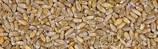 Scar Vital Weizen ganz gereinigt im Detail