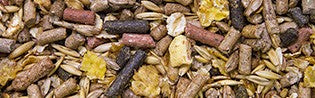 Scar Vital Horse Energy - Müsli mit 15% Hafer Detailbild
