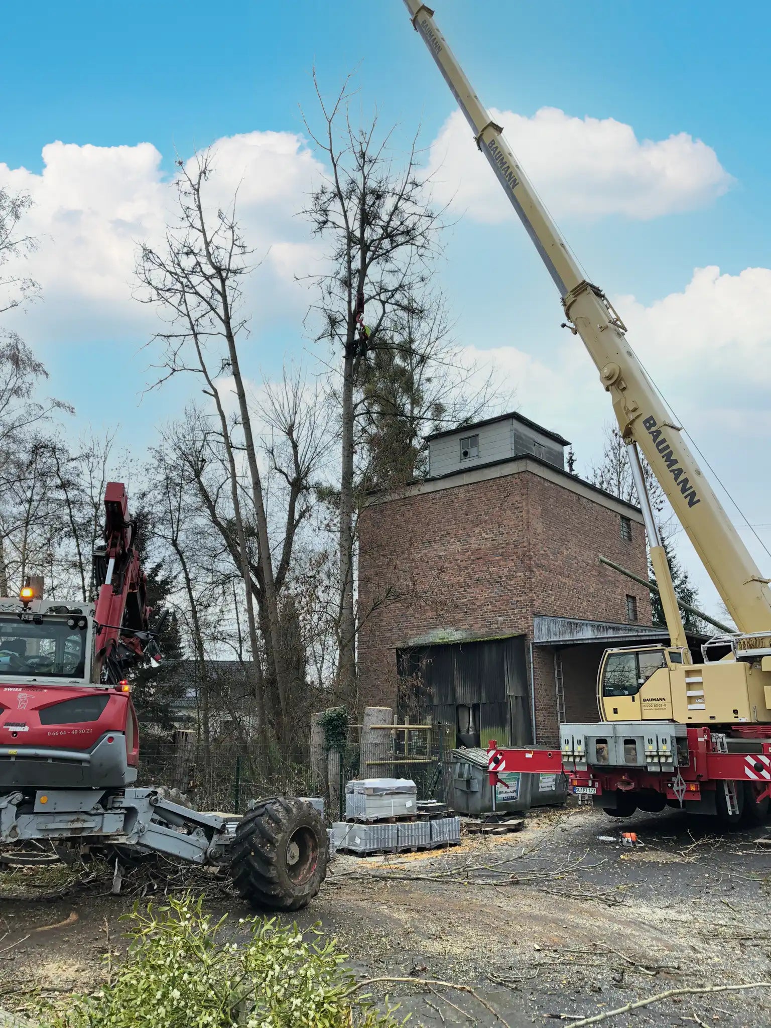 Kranfällung mit Kran und Menzi Muck – Referenzbild in der Kategorie Kranfällung