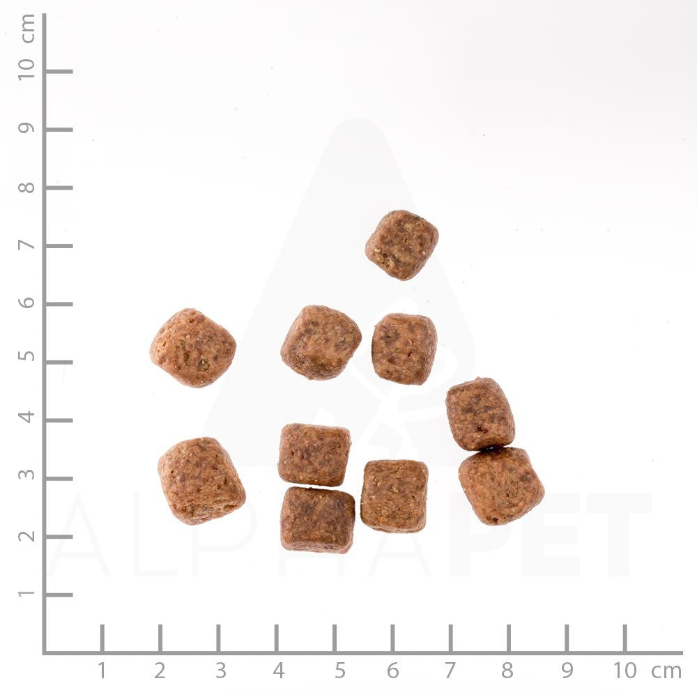 Wolfsblut Wild Duck Adult - Ente mit Kartoffel Kroketten