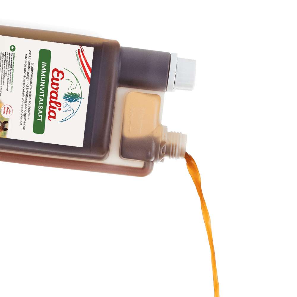 Ewalia Immunvitalsaft, 1l Dosierflasche