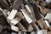 ein Schüttraummeter waldfrisches Brennholz Laub 25 cm Scheitlänge