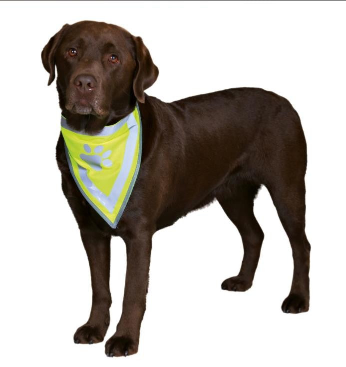 Sicherheitshalstuch, reflektierend, Größe: S–M, Halsumfang: 29–42 cm am Hund