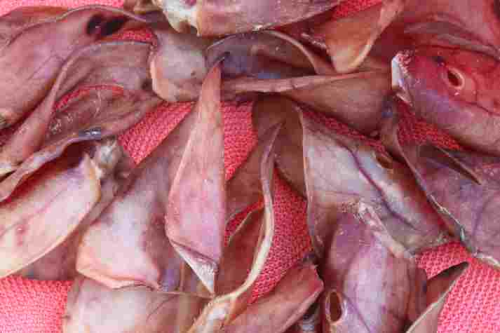Schweineohren getrocknet ohne Muschel