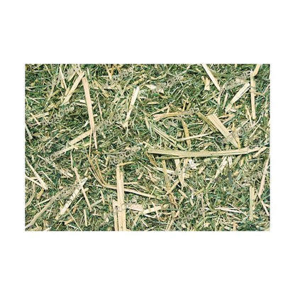 Agrobs Luzerne Plus Detailausschnitt lose Ware