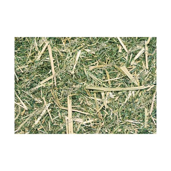 Agrobs Luzerne Plus Detailausschnitt lose Ware