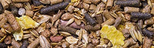 Scar Vital Horse Breeding Detailausschnitt lose Ware
