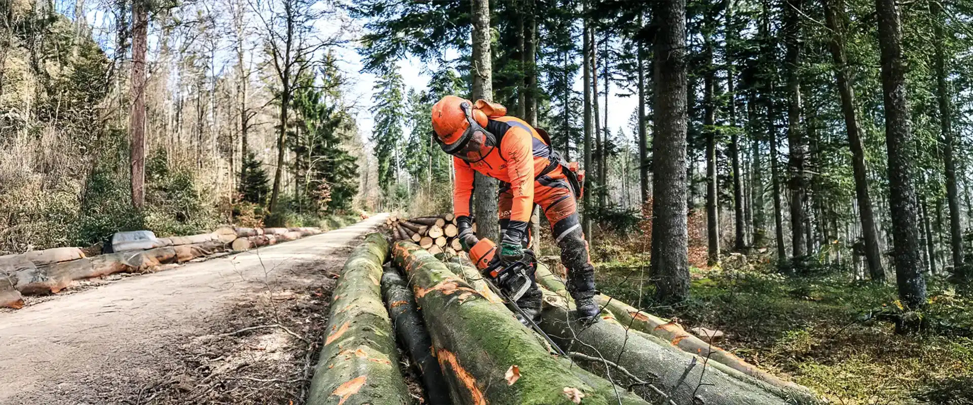 Baumfäller bei der Arbeit - Kategoriebild Bodenfällung