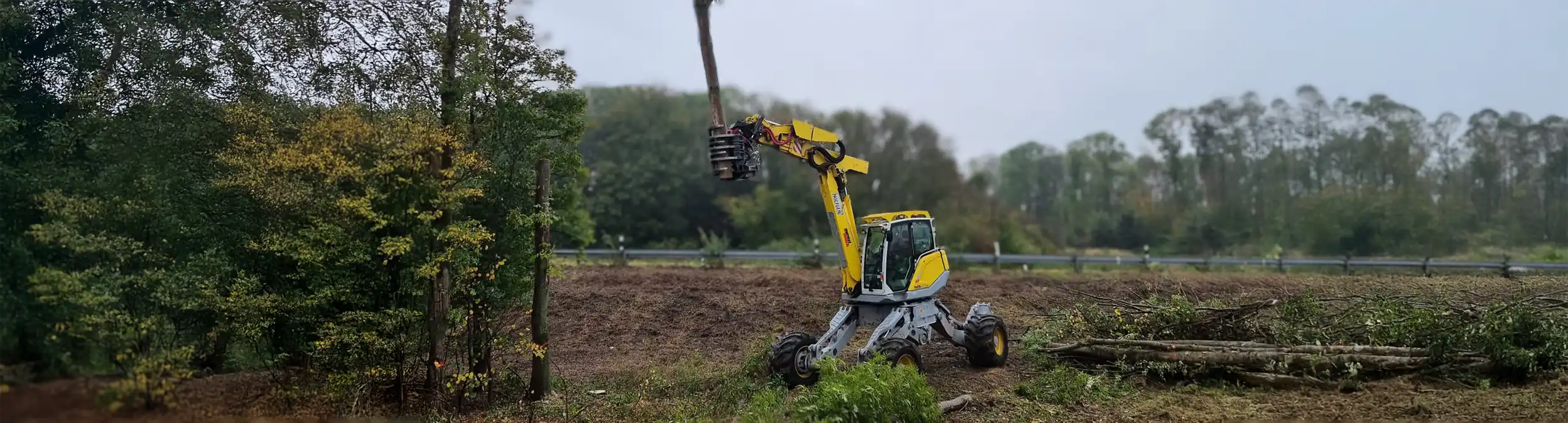 Menzi Muck bei Baumfällung - Kategoriebild Menzi Muck