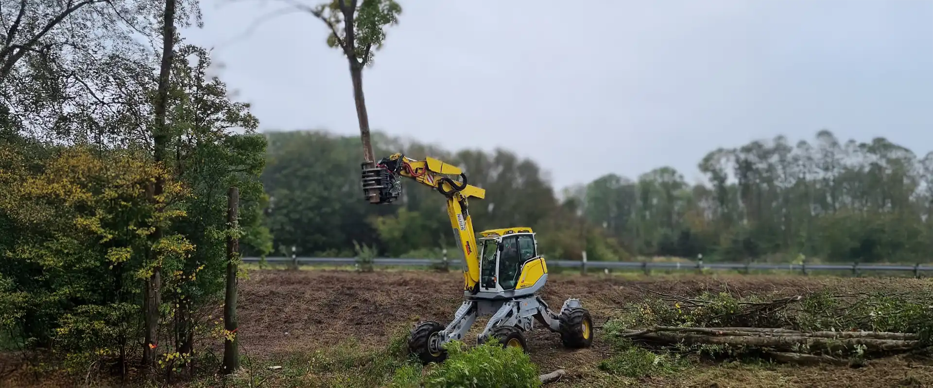 Menzi Muck bei Baumfällung - Kategoriebild Menzi Muck