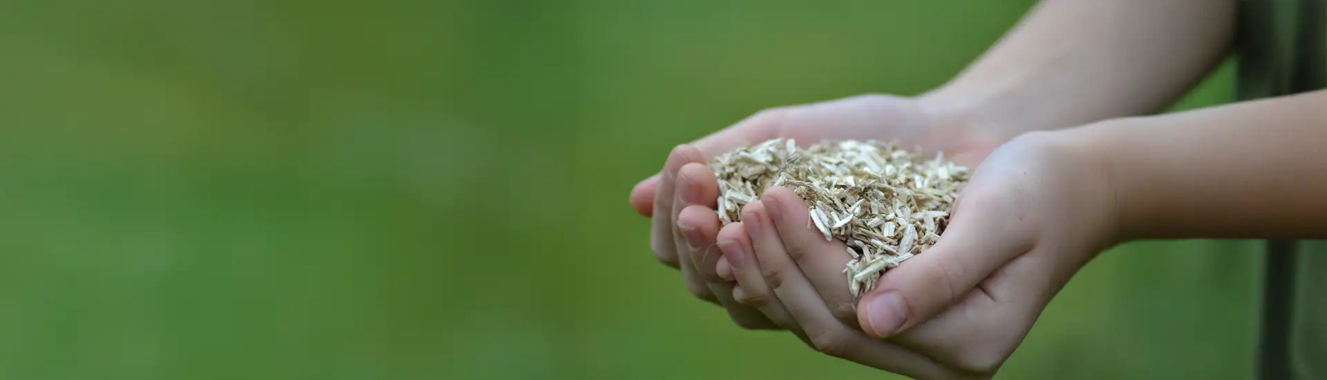 Hände halten Einstreu  – Banner zur Kategorie Einstreu für Hühner und Geflügel