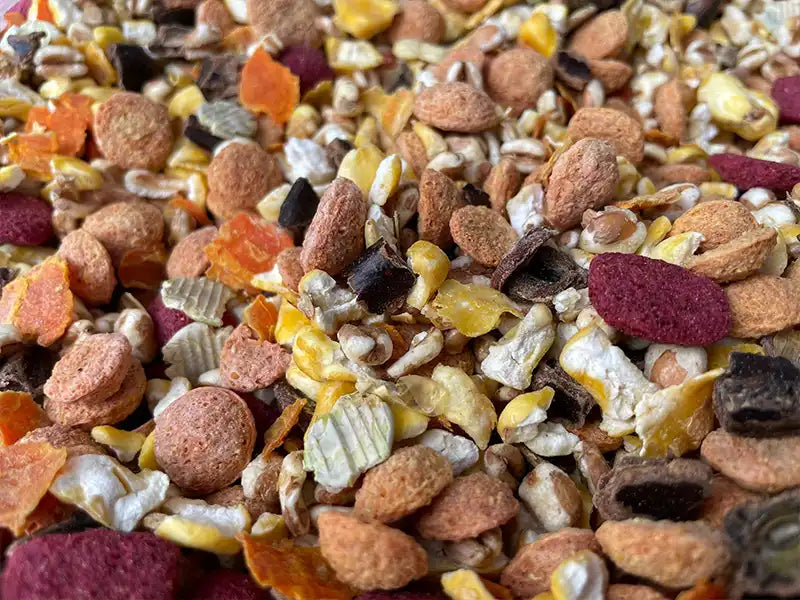 Nagerfutter  – Banner zur Kategorie Kaninchen- und Nagerfutter
