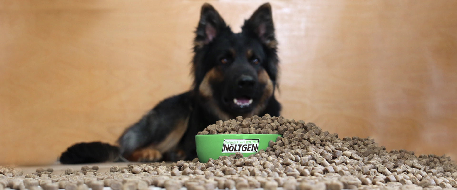 Hund mit Fressnapf – Banner zur Kategorie Tierbedarf