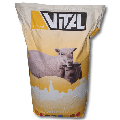Scar Vital Schaf und Ziege Müsli 20kg