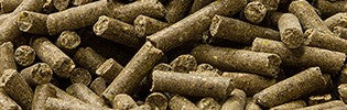 Scar Vital Mutterschaf 18 Detailbild Pellets