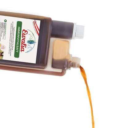 Ewalia Immunvitalsaft, 1l Dosierflasche
