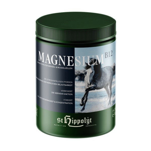 St. Hippolyt Magnesium B12 1kg - Nährstoffe für Nerven- und Muskelzellen