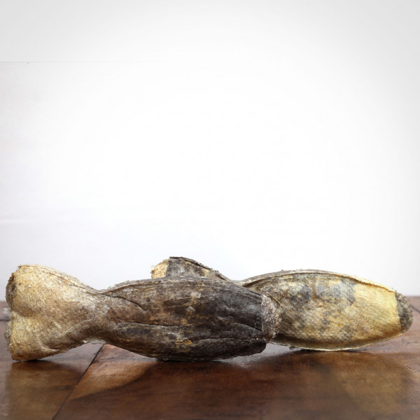 Hitzegrad Kauknochen Dorsch, 12 cm für Hunde