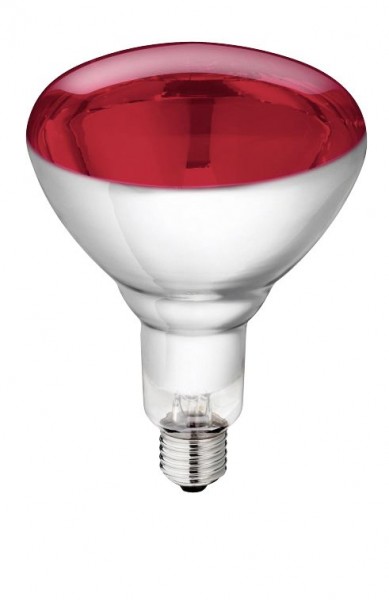 Hartglas-Infrarotlampe Philips 150 W