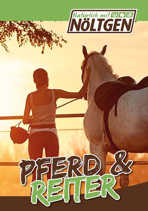 Pferd-und-Reiter_Noeltgen