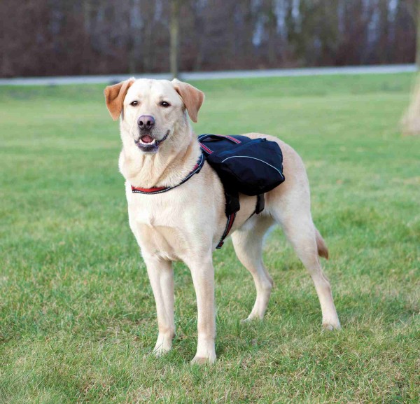 Rucksack für Hunde