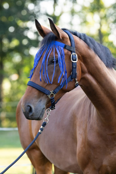 Fliegenfransenband mit Klett, blau Pony