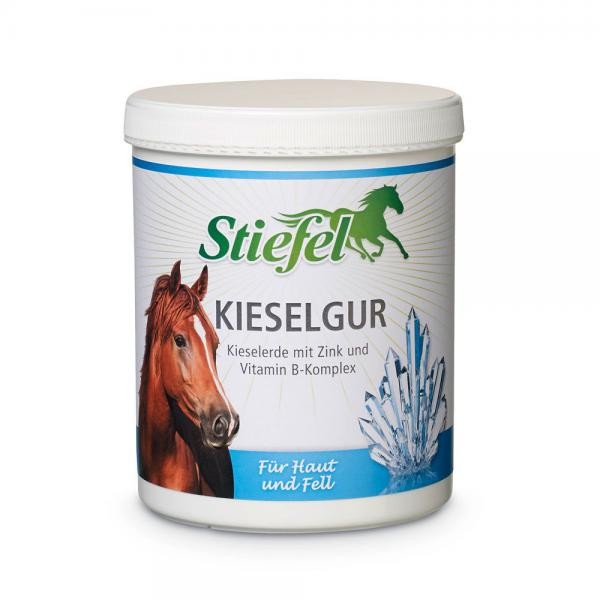 Stiefel Kieselgur 1kg