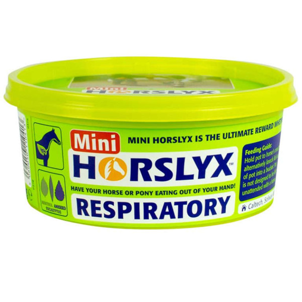 Derby Horslyx Respiratory 650g - Leckmasse, die das Immunsystem unterstützt